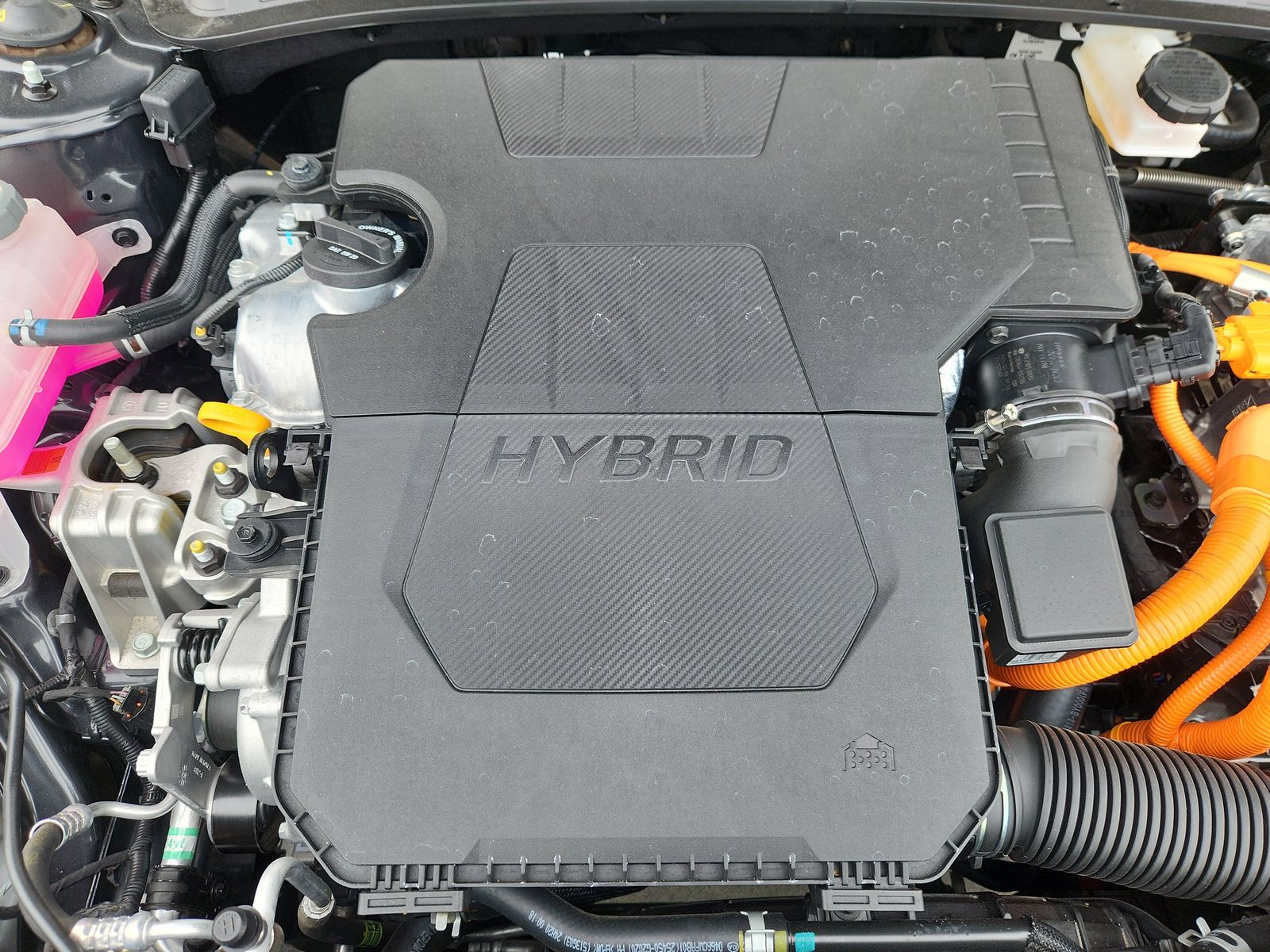 2025 Hyundai Elantra Blue - Photo 14