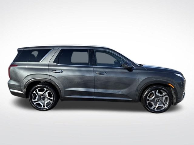 2025 Hyundai Palisade Limited - Photo 6