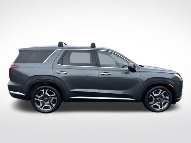 2023 Hyundai Palisade Limited - Photo 6