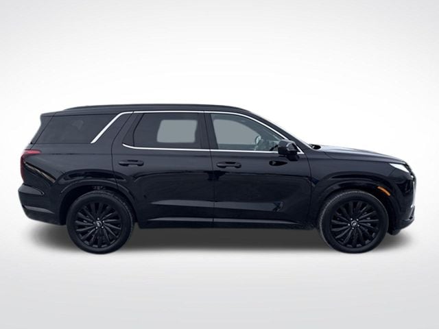 2025 Hyundai Palisade Calligraphy Night Edition - Photo 7