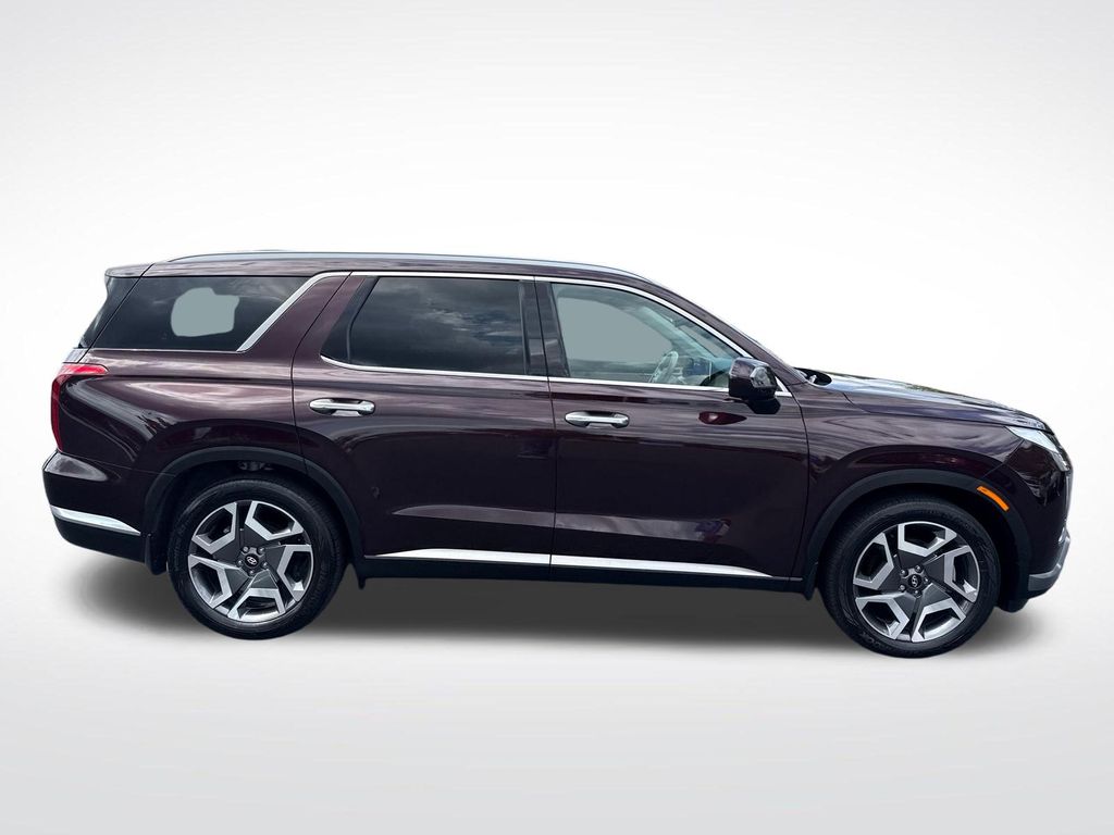 2024 Hyundai Palisade Limited - Photo 6