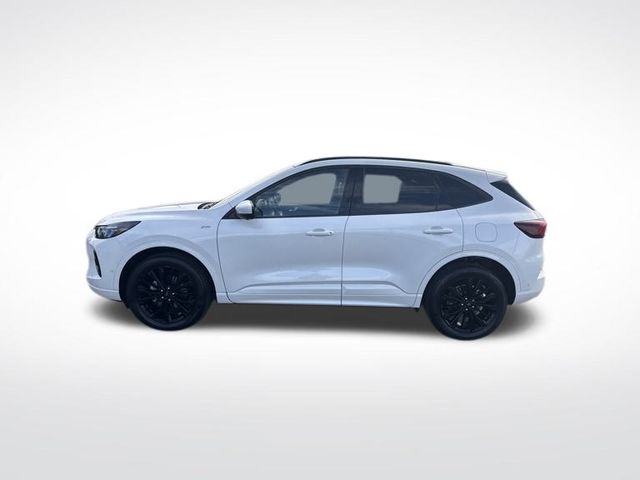 2023 Ford Escape ST-Line Elite photo 2