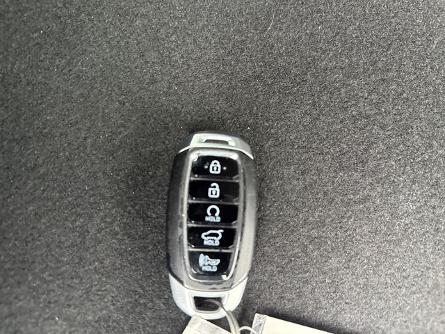 2022 Hyundai Palisade Calligraphy - Photo 50