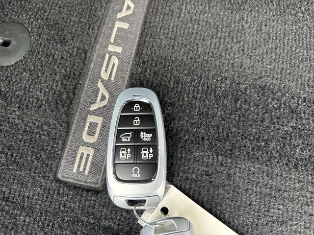 2025 Hyundai Palisade Calligraphy Night Edition - Photo 44