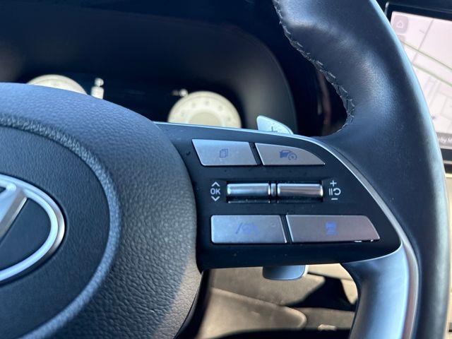 2025 Hyundai Palisade Limited - Photo 31