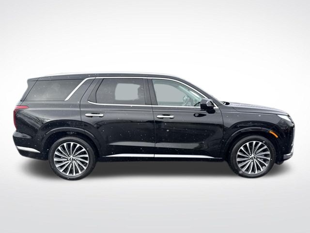 2025 Hyundai Palisade Calligraphy - Photo 6