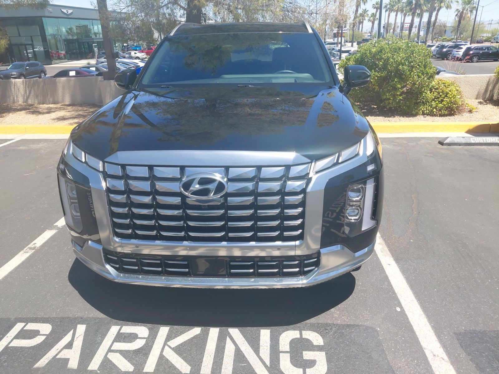 2024 Hyundai Palisade Calligraphy AWD's photo