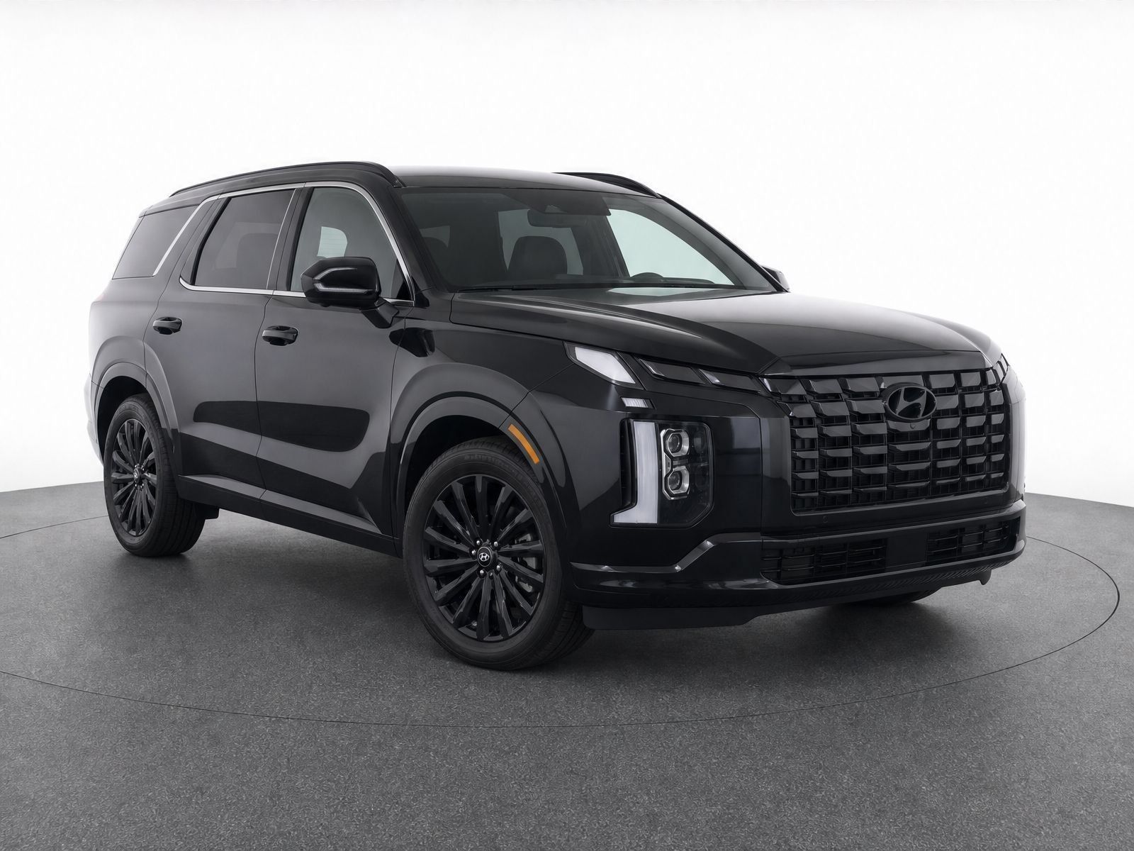 2025 Hyundai Palisade Calligraphy Night Edition AWD's photo
