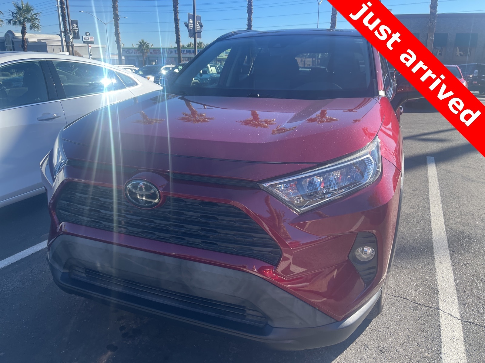 2019 Toyota RAV4 XLE's photo