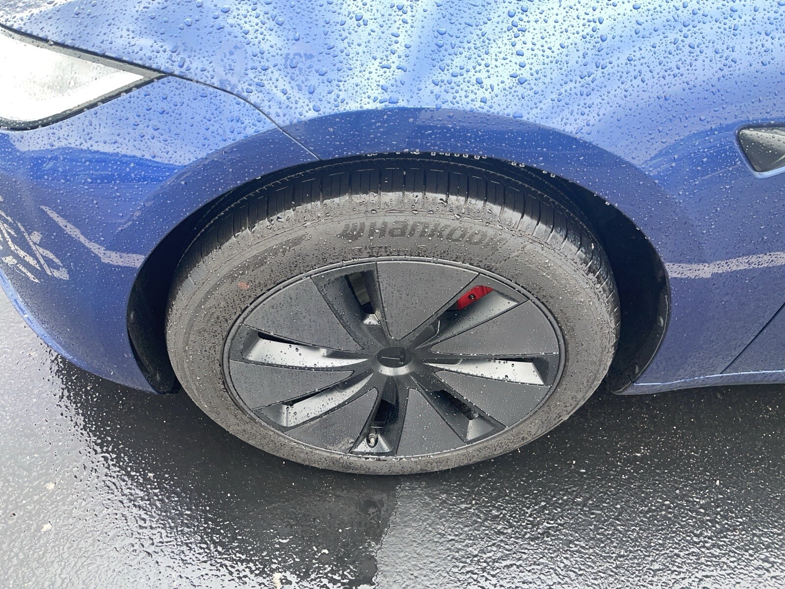 2024 Tesla Model 3 photo 2