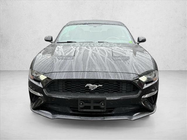2020 Ford Mustang EcoBoost Premium photo 2