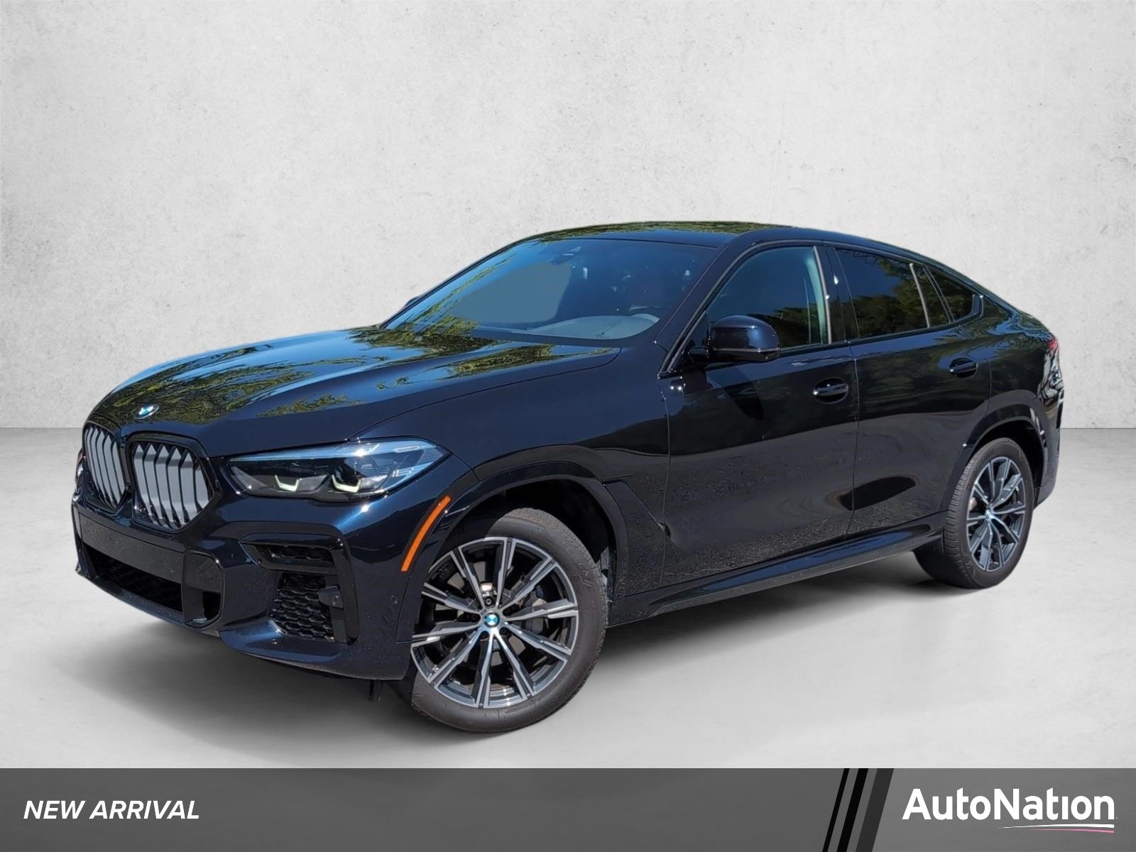 2023 BMW X6 xDrive40i's photo