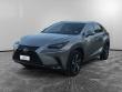 Used 2019 Lexus NX 300h  SUV