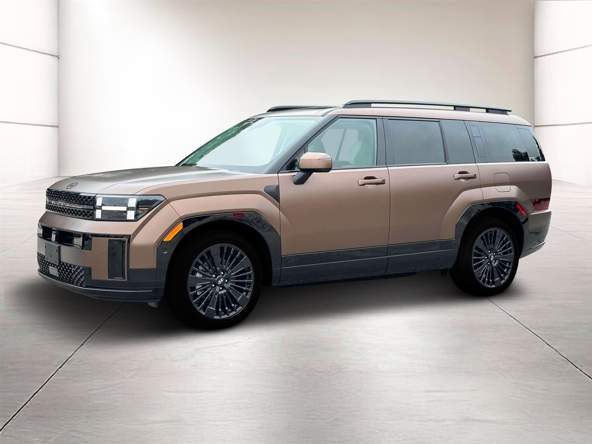 2025 Hyundai Santa Fe Calligraphy photo 2