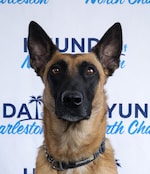 Staff member Athena from 5a42e3451e79