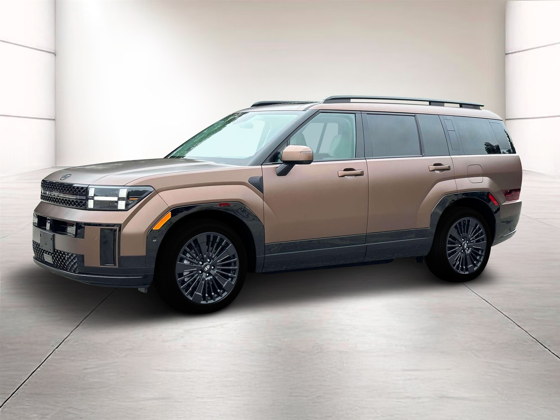 2025 Hyundai Santa Fe Calligraphy photo 2