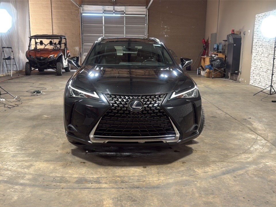 2019 Lexus UX 250h photo 2