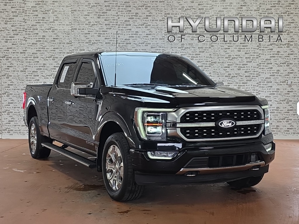 2022 Ford F-150 Platinum's photo