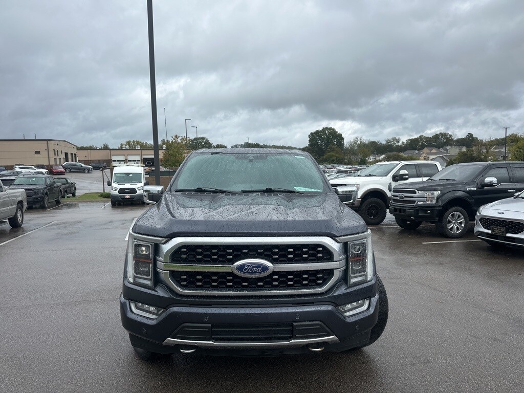 2021 Ford F-150 Platinum photo 2