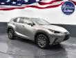 Used 2019 Lexus NX 300 Base SUV
