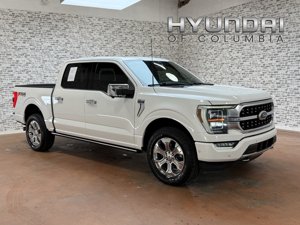 2022 Ford F-150 Platinum's photo
