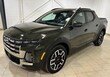  Hyundai Santa Cruz