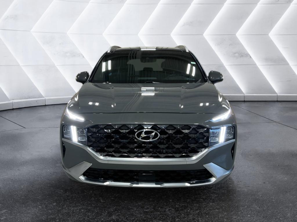 2021 Hyundai Santa Fe Calligraphy