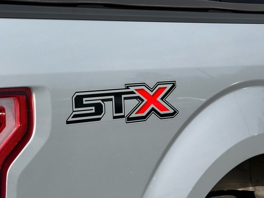 2019 Ford F-150 XL photo 4