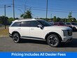  Hyundai Palisade Hybrid