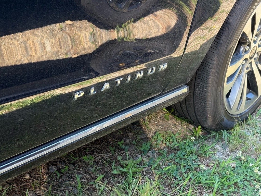 2021 Ford Expedition Platinum photo 2