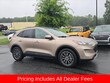  Ford Escape PHEV