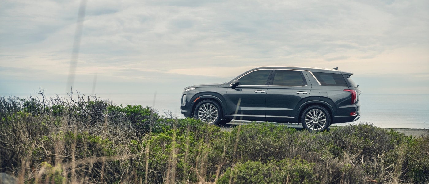 2020 Hyundai Palisade near beach
