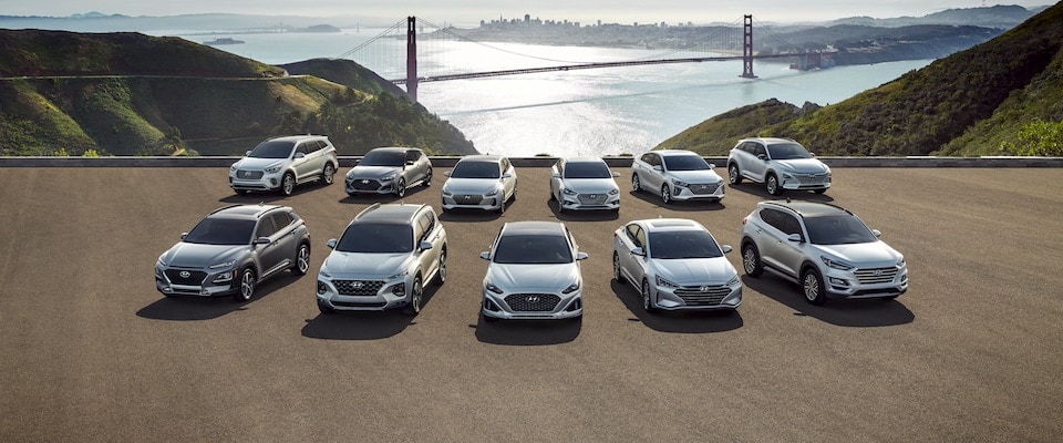 The Hyundai Model Lineup parked infront of a bridge and ocean