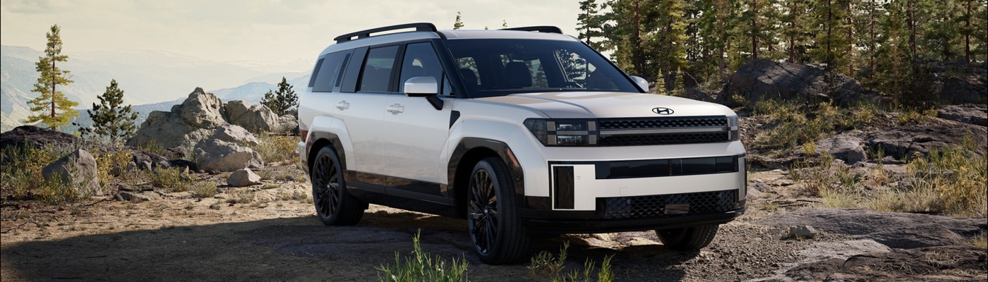White Hyundai Santa Fe parked on a mountain
