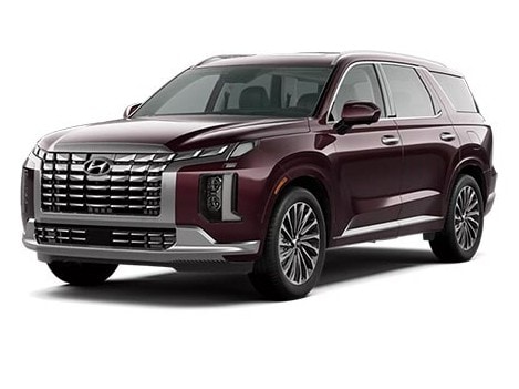 Hyundai Palisade Calligraphy