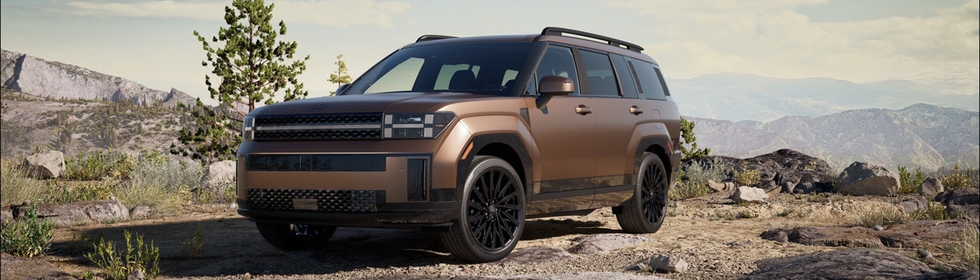 Bronze Hyundai Santa Fe SUV parked on a mountain