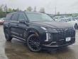 New 2025 Hyundai Palisade Calligraphy Night Edition AWD SUV