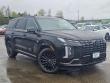 New 2025 Hyundai Palisade Calligraphy Night Edition AWD SUV