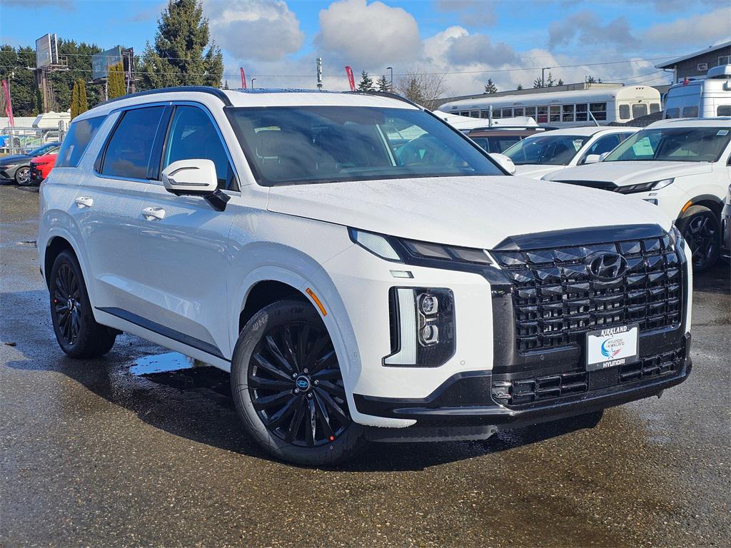 2025 Hyundai Palisade Calligraphy Night Edition's photo