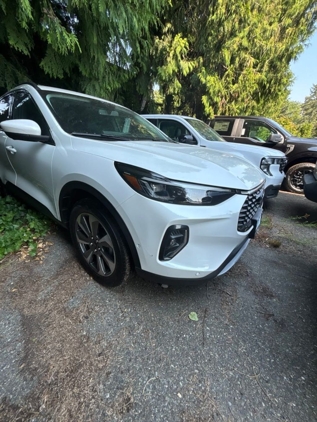 Certified 2023 Ford Escape Hybrid Platinum SUV