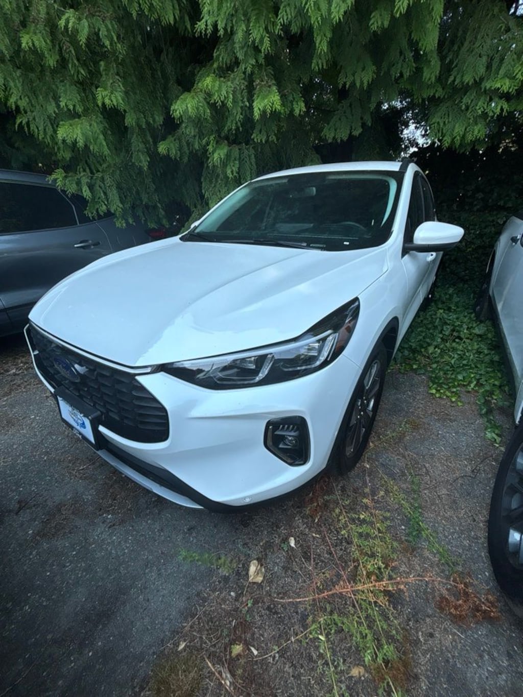 Certified 2023 Ford Escape Hybrid Platinum SUV