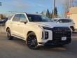 New 2025 Hyundai Palisade Calligraphy Night Edition AWD SUV