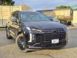 New 2025 Hyundai Palisade Calligraphy Night Edition AWD SUV