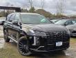 New 2025 Hyundai Palisade Calligraphy Night Edition AWD SUV