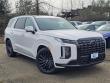 New 2025 Hyundai Palisade Calligraphy Night Edition AWD SUV