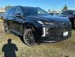New 2025 Hyundai Palisade Calligraphy Night Edition AWD SUV