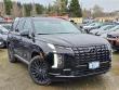 New 2025 Hyundai Palisade Calligraphy Night Edition AWD SUV