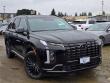 New 2025 Hyundai Palisade Calligraphy Night Edition AWD SUV