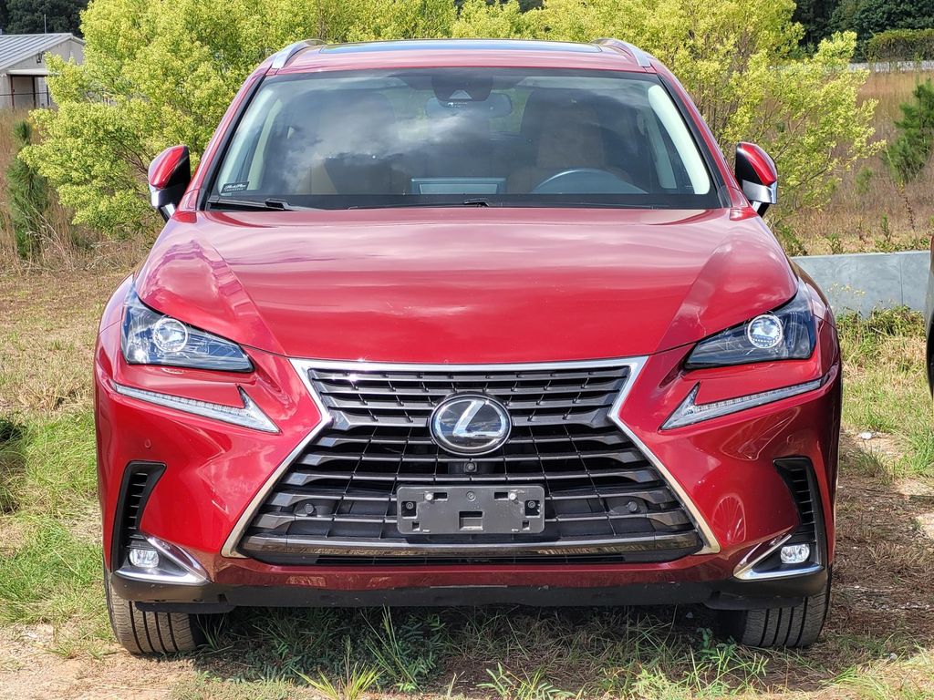 2020 Lexus NX 300 Premium photo 2