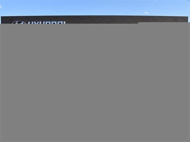 2026 Hyundai Palisade Calligraphy's photo